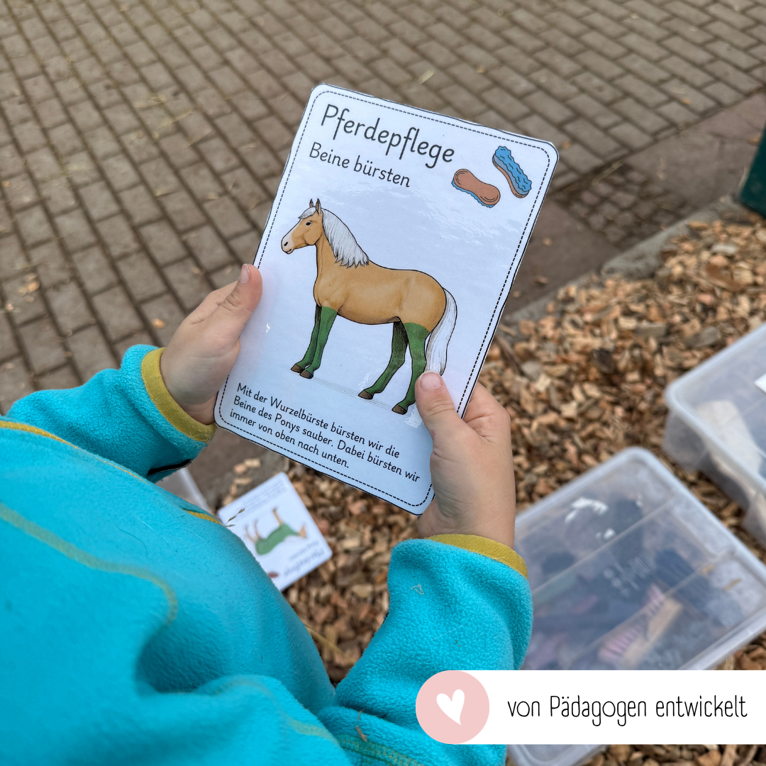 Ablaufkarten Pferdepflege