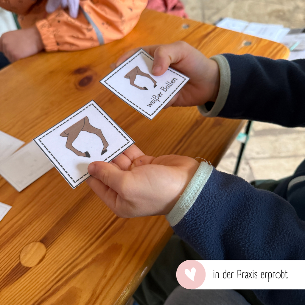 Zuordnungsspiele Beinabzeichen