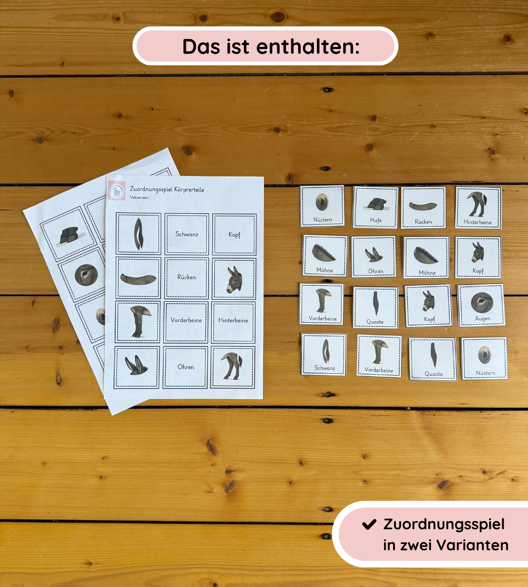Zuordnungsspiel Eselkörper – Körperteile spielerisch festigen (Kopie)
