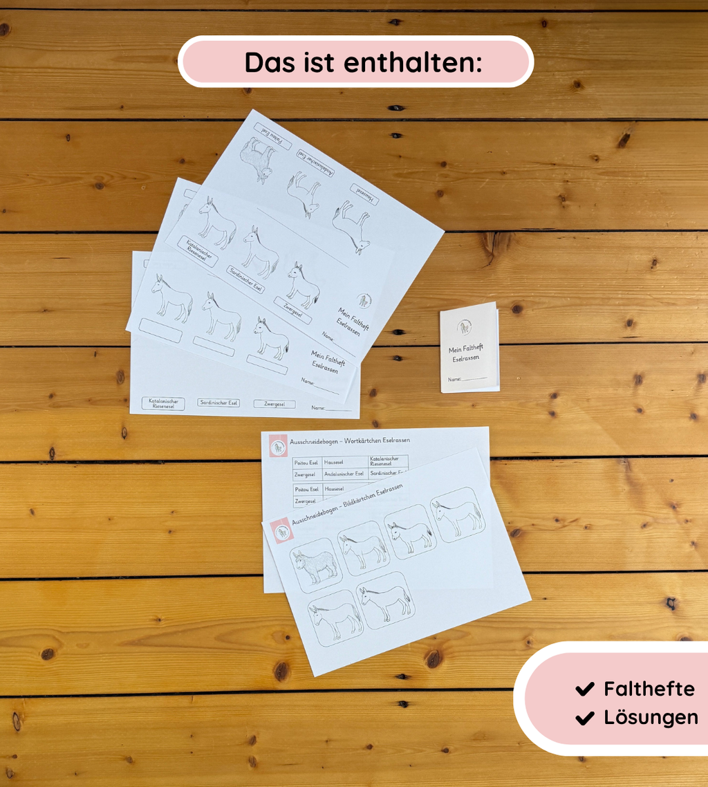Falthefte Eselrassen – Eselrassen kennenlernen und festhalten