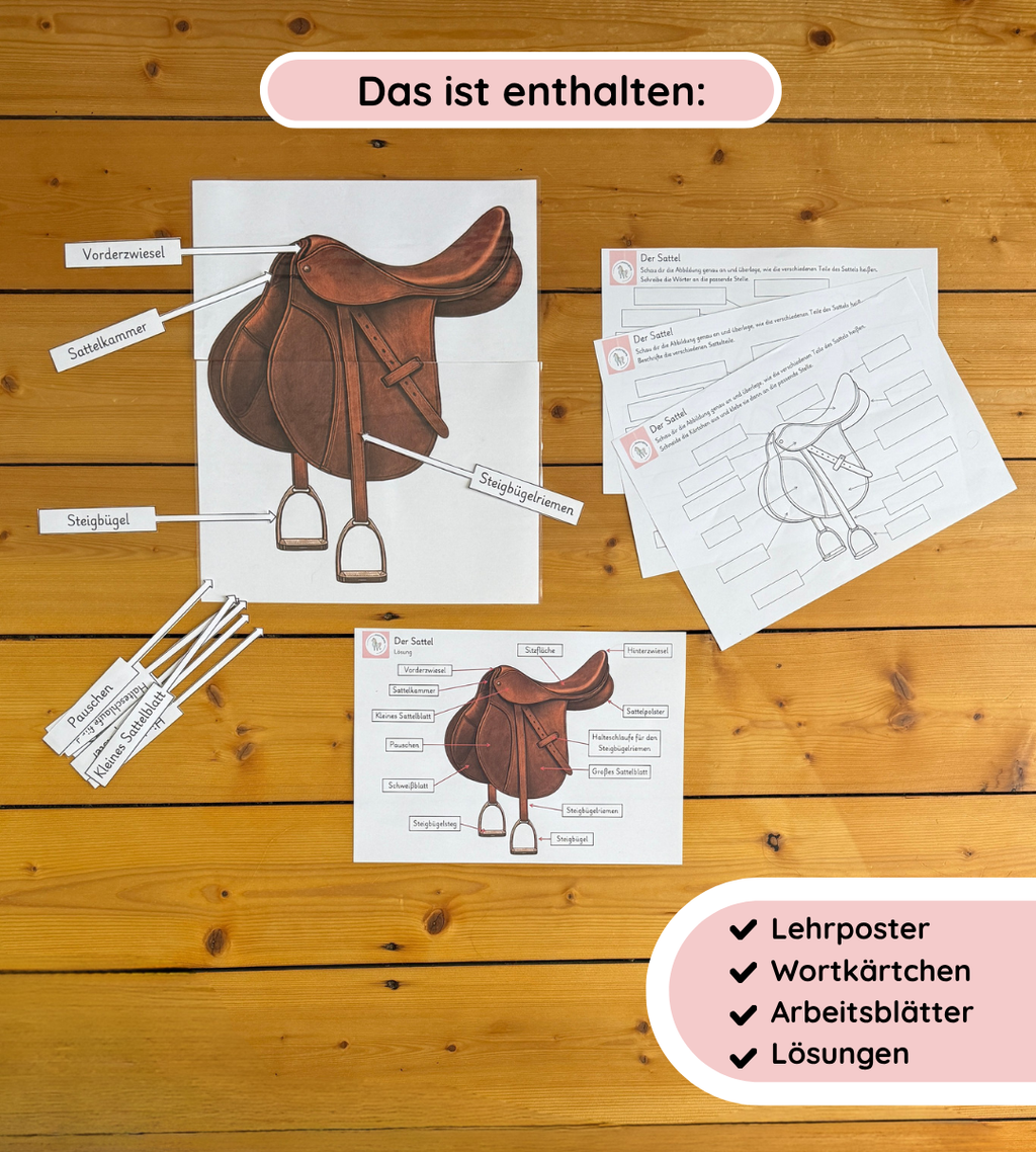 Kindgerechte Arbeitsblätter und Lernposter – Sattel einfach verstehen