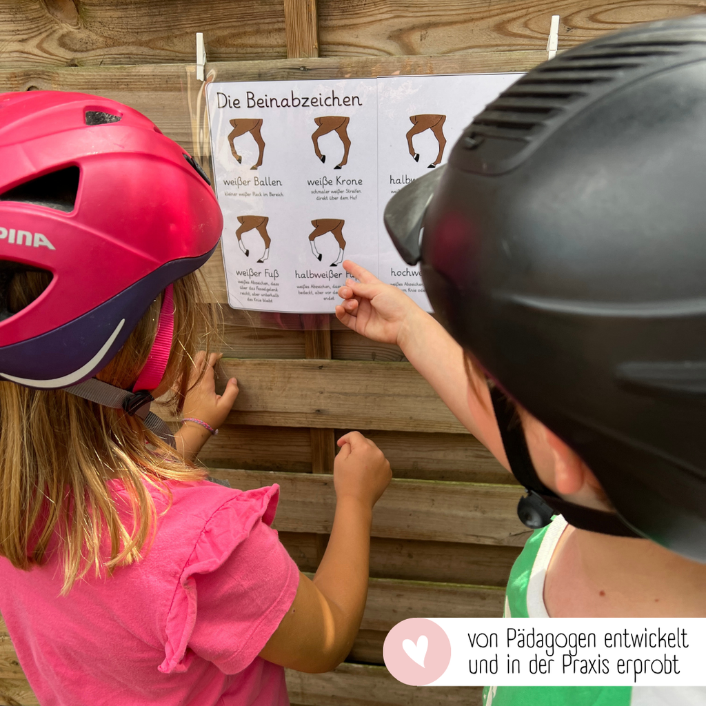 Lehrposter Beinabzeichen
