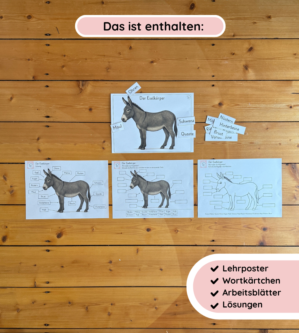 Lernposter & Arbeitsblätter Eselkörper – Körperteile des Esels kindgerecht lernen