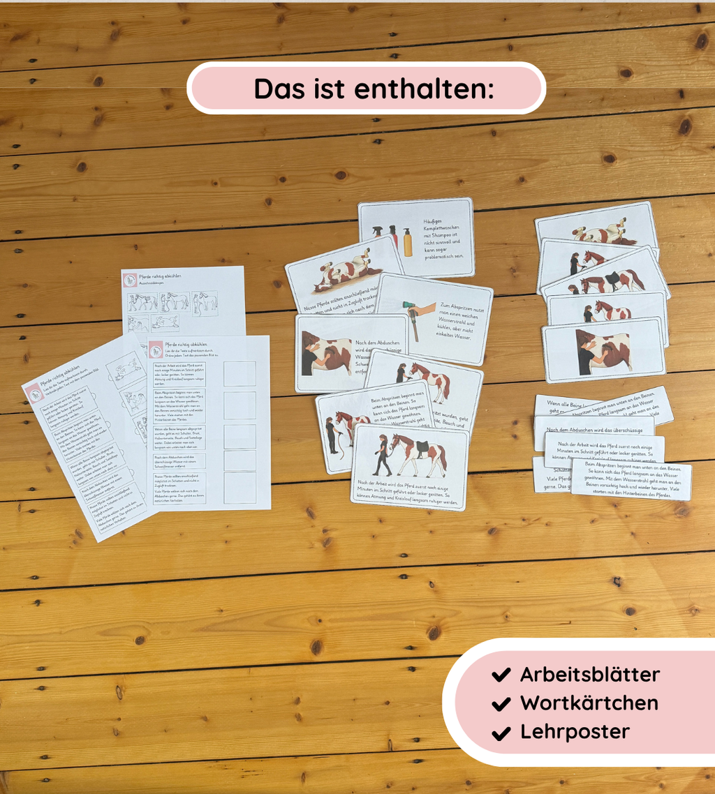 Pferdepflege - Pferde richtig abkühlen