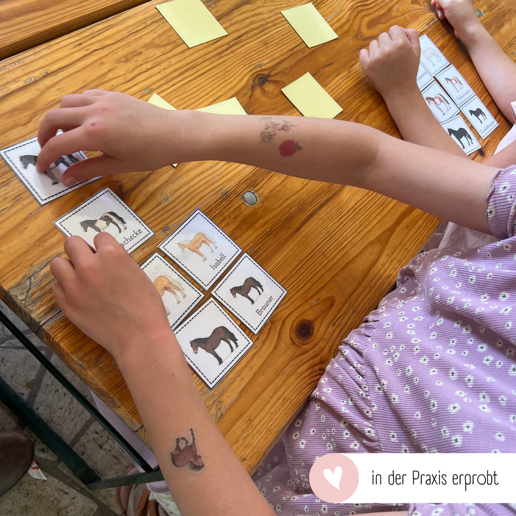 Zuordnungsspiele Pferdefarben