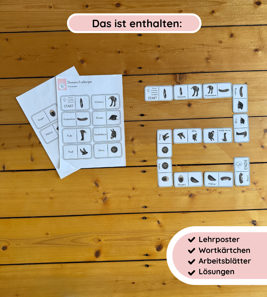 Lerndomino Eselkörper – Körperteile spielerisch festigen