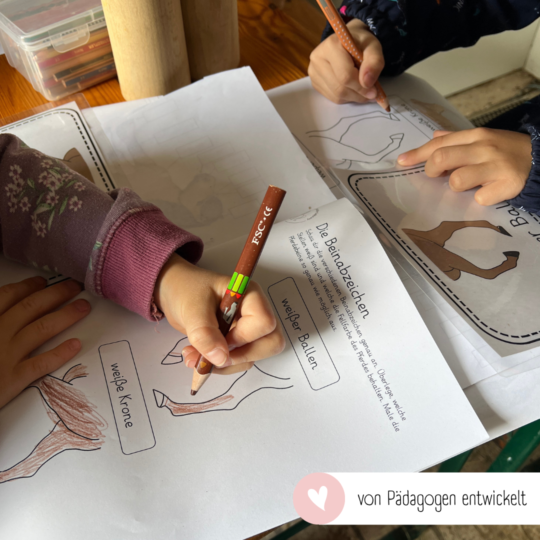 kindgerechte Arbeitsblätter Beinabzeichen