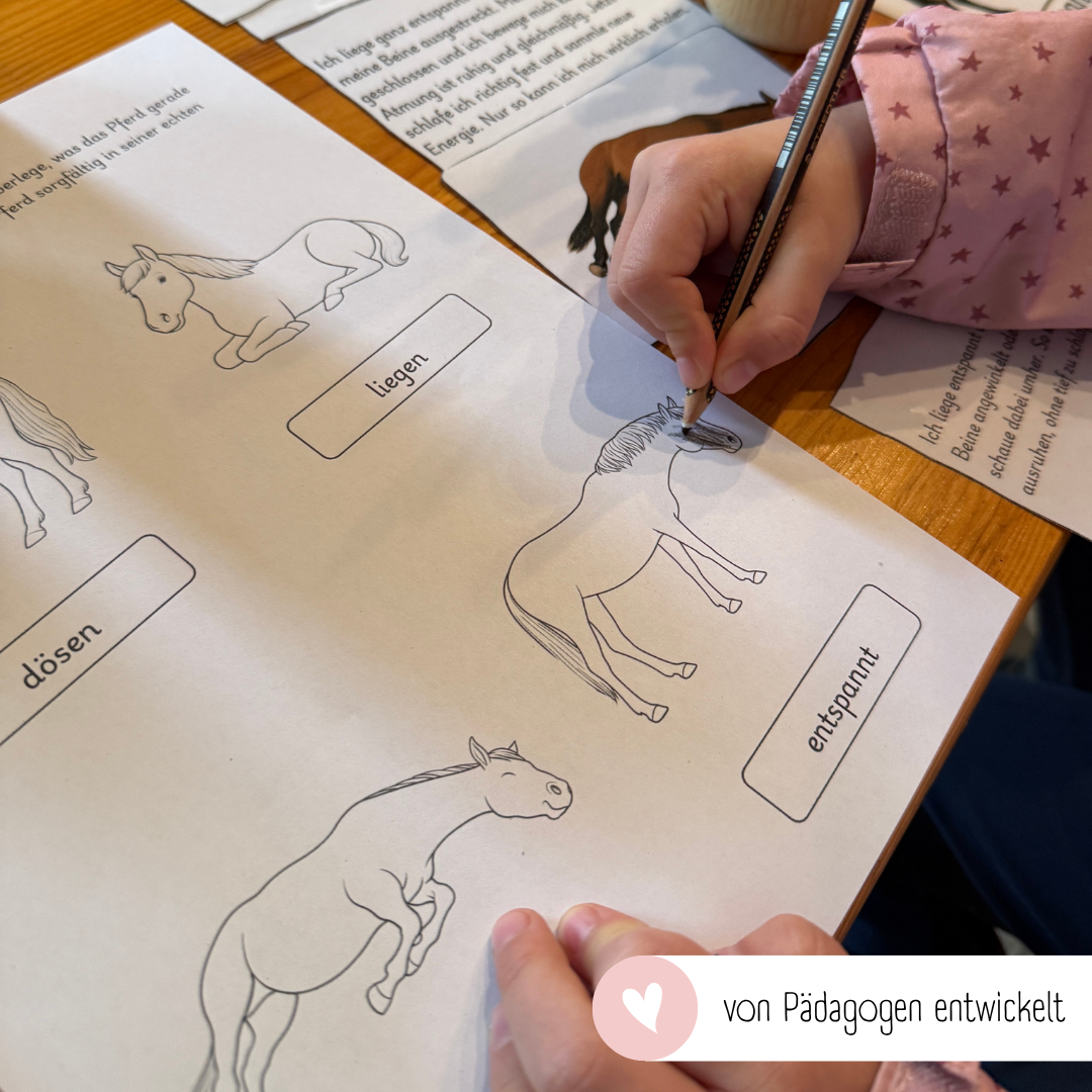 kindgerechte Arbeitsblätter Pferdesprache