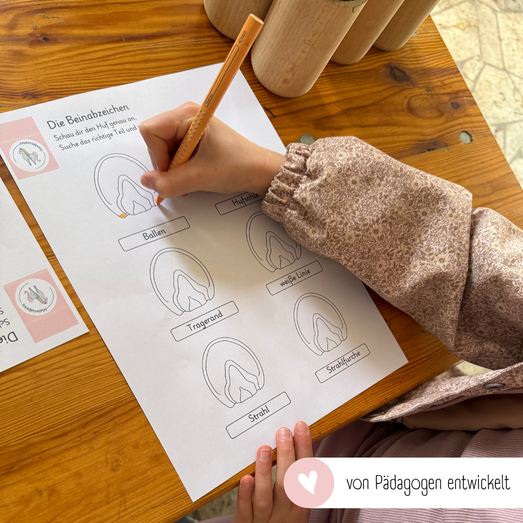 kindgerechte Arbeitsblätter Pferdehuf