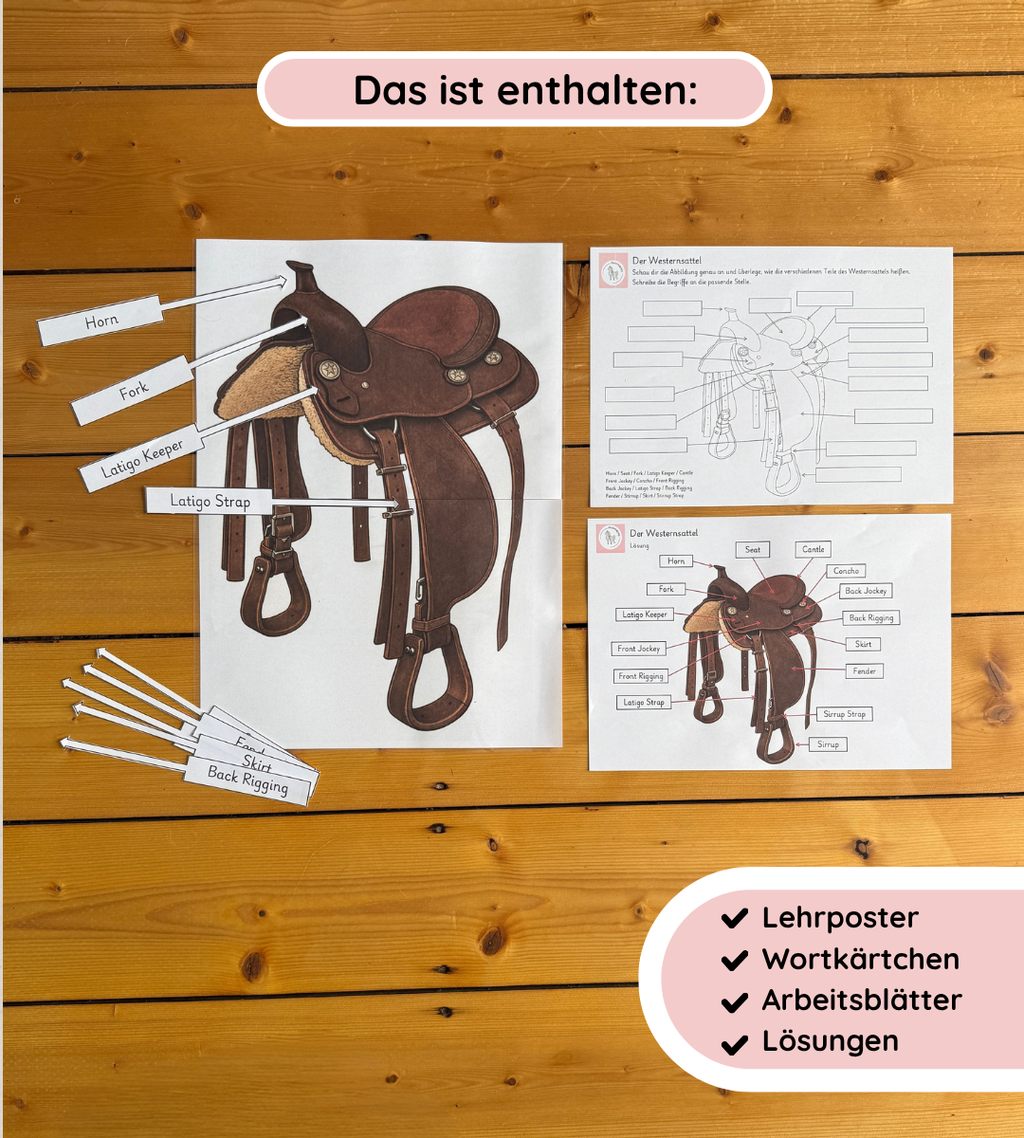 Kindgerechte Arbeitsblätter und Lernposter – Westernsattel einfach verstehen