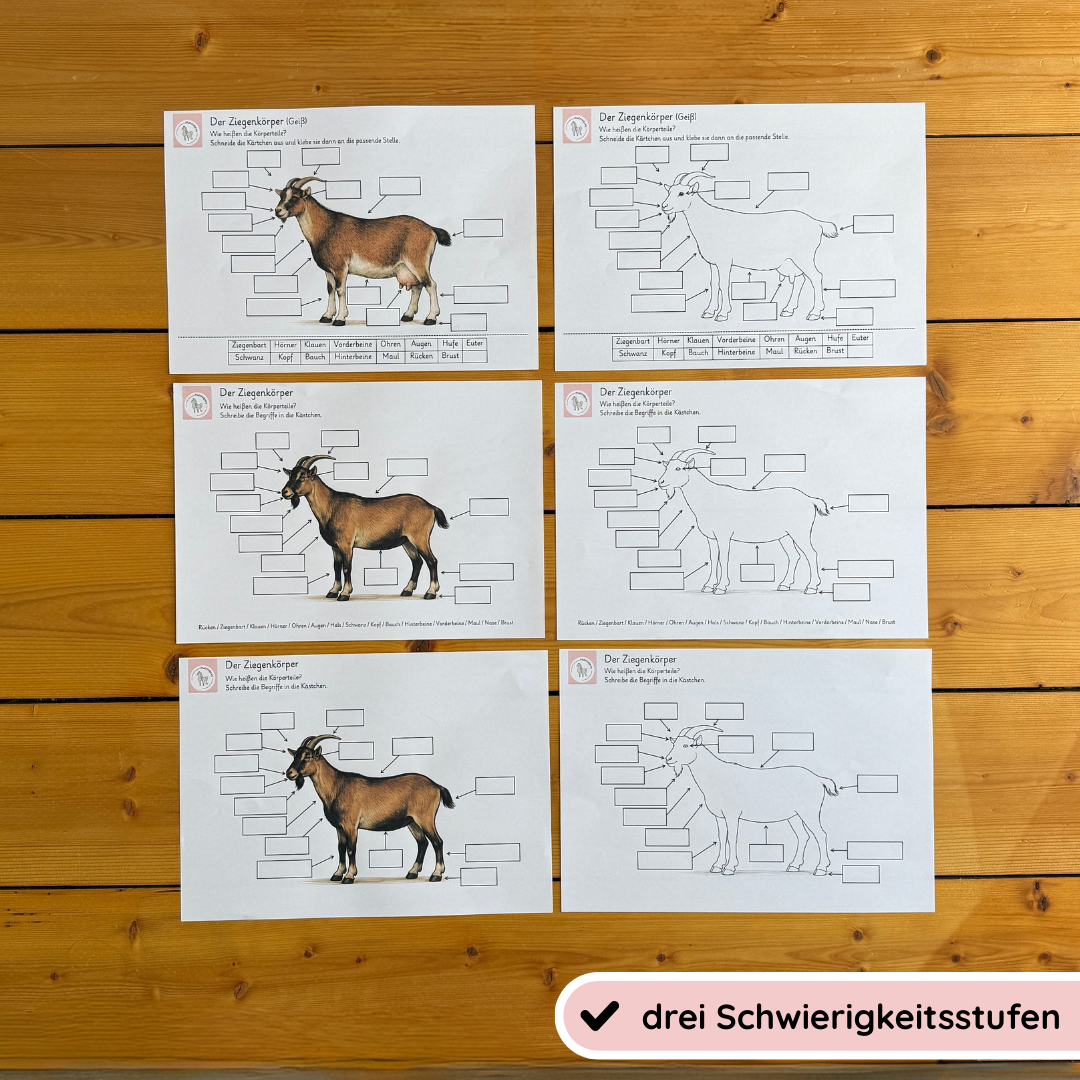 kindgerechte Arbeitsblätter und Lehr- und Lernposter Ziegenkörper
