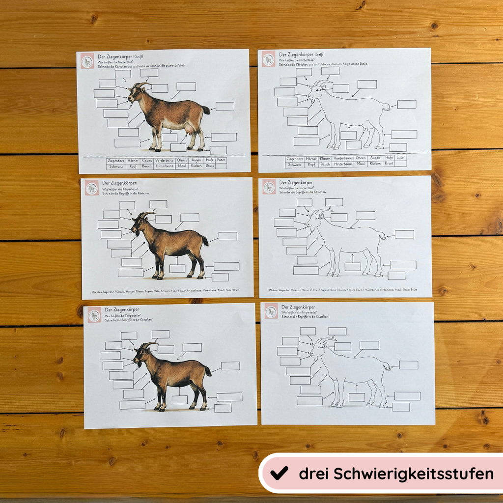 Unser Ziegen-Bundle