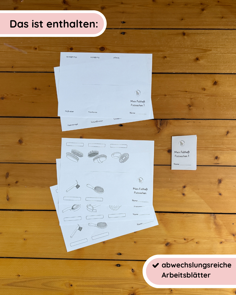 Foldable booklets: Horse care