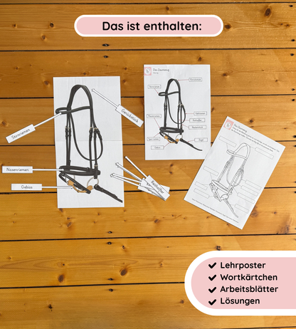 Child-friendly Worksheets & Learning Posters – Bridles Made Easy