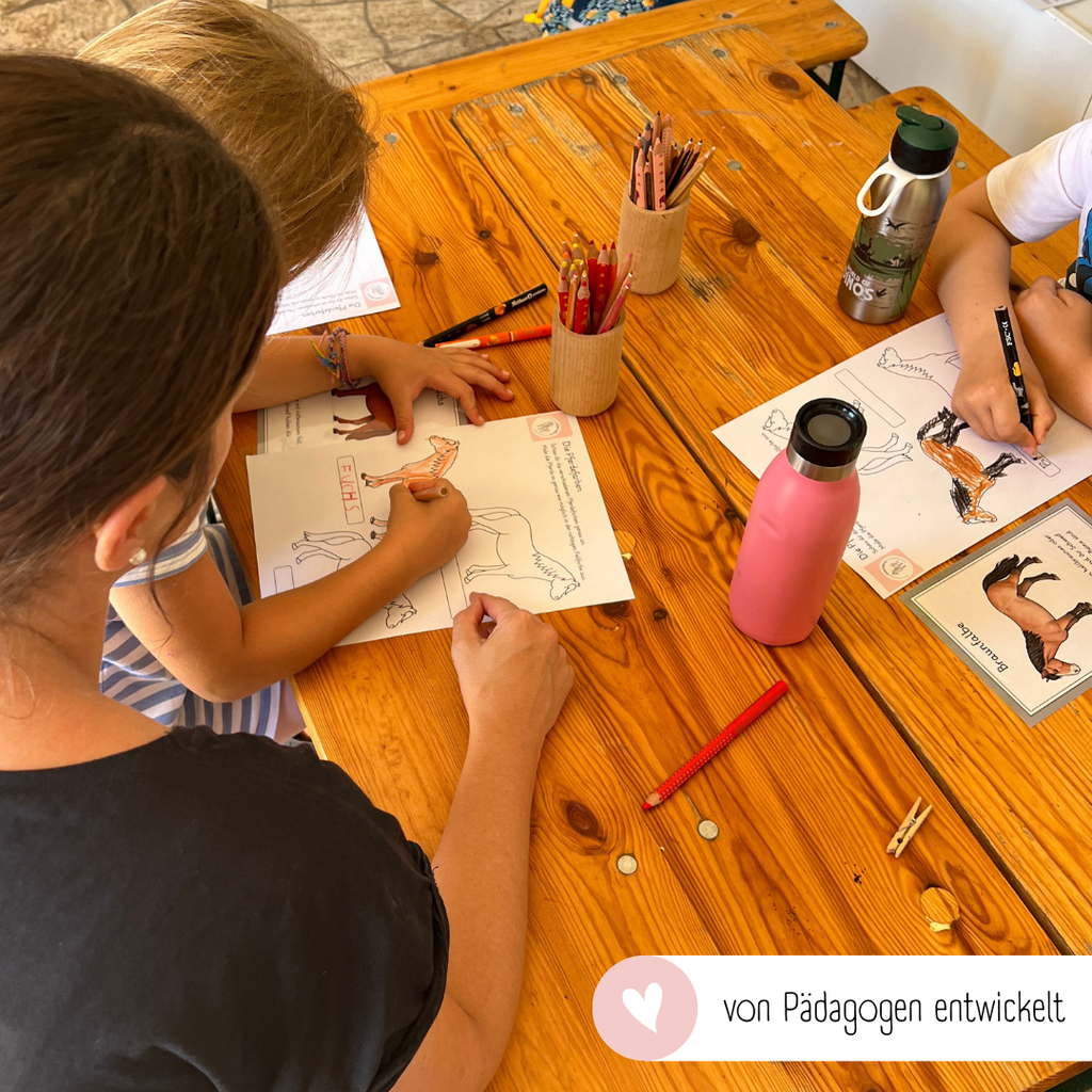 kindgerechte Arbeitsblätter Pferdefarben