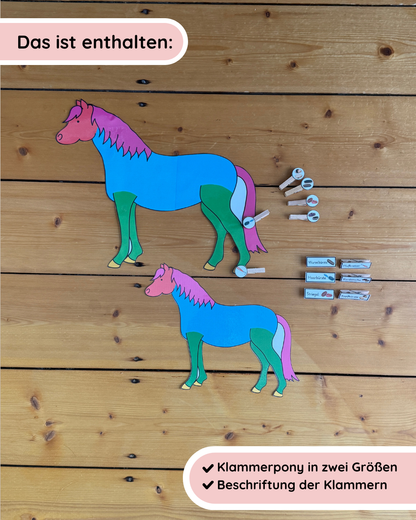 Clip-on Pony Horse Care