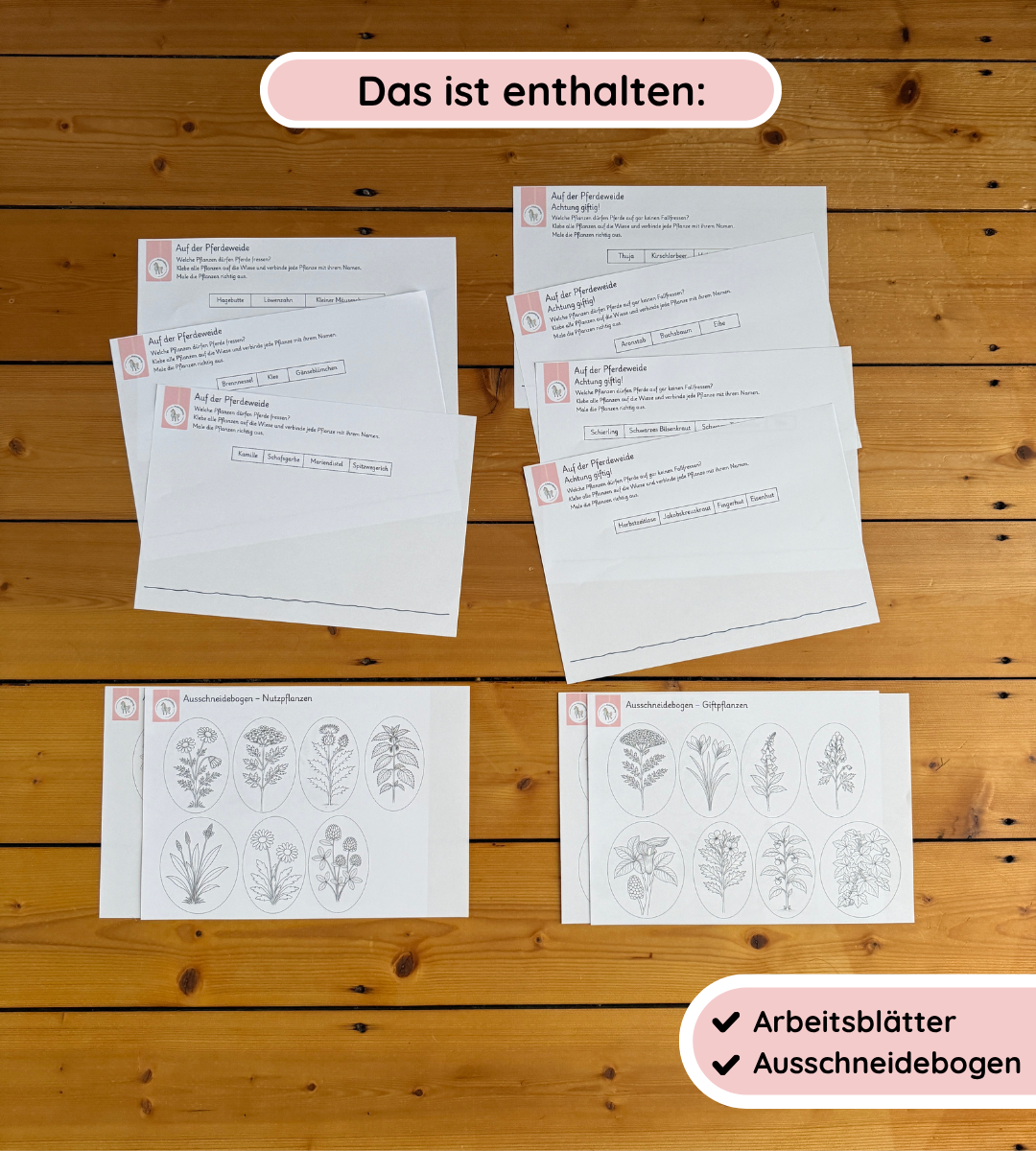 Kindgerechte Arbeitsblätter 2 - Nutz- und Giftpflanzen sicher erkennen und unterscheiden (Kopie)