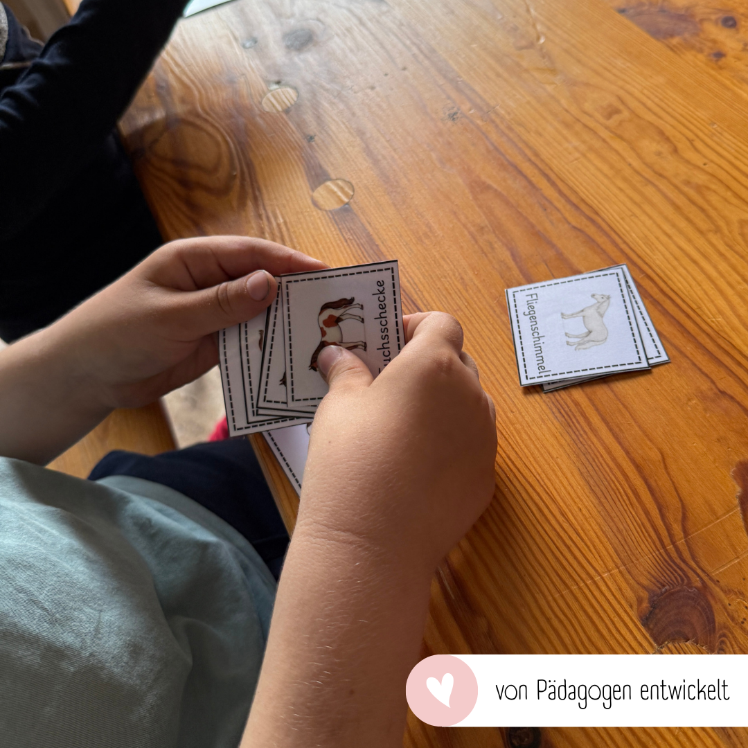 Zuordnungsspiele Pferdefarben