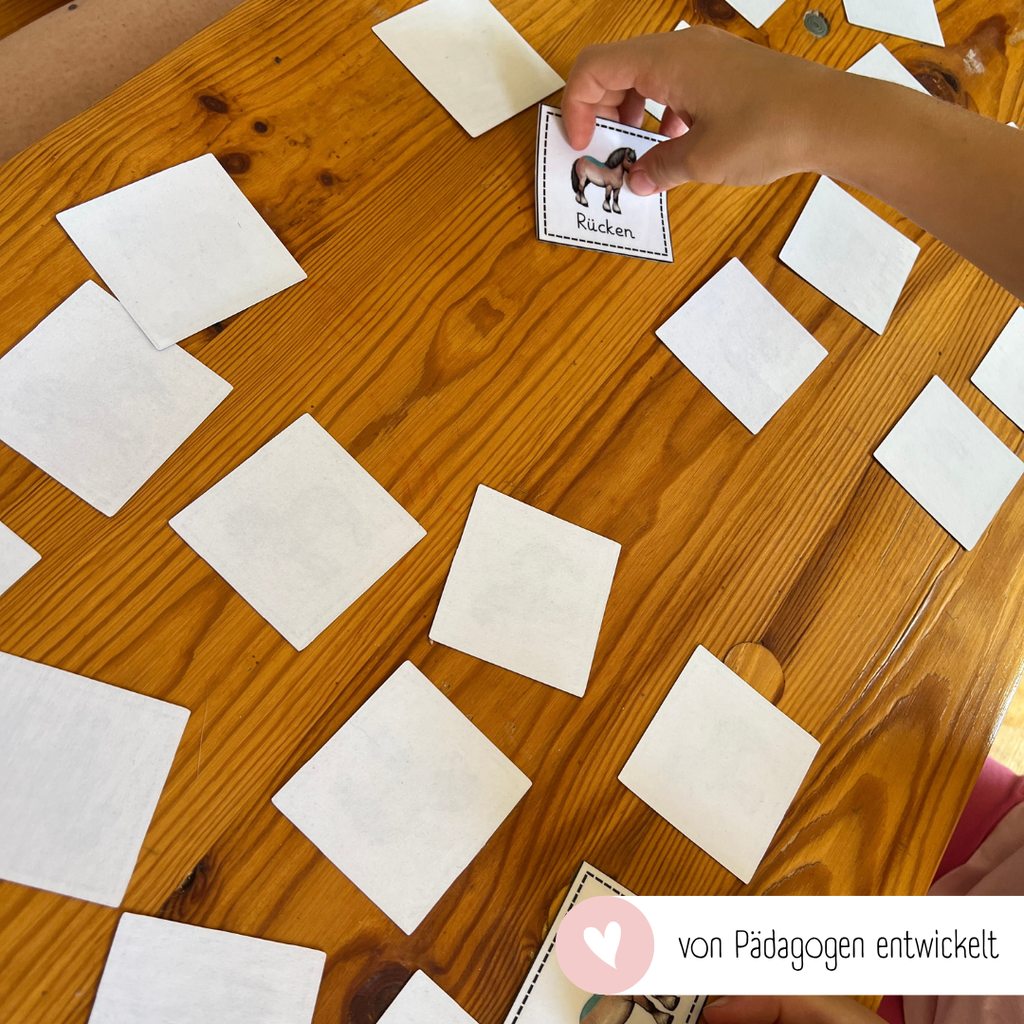 Zuordnungsspiele Pferdekörper