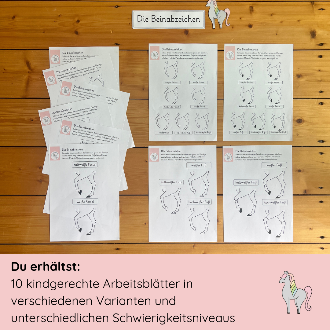 Unser Beinabzeichen-Bundle