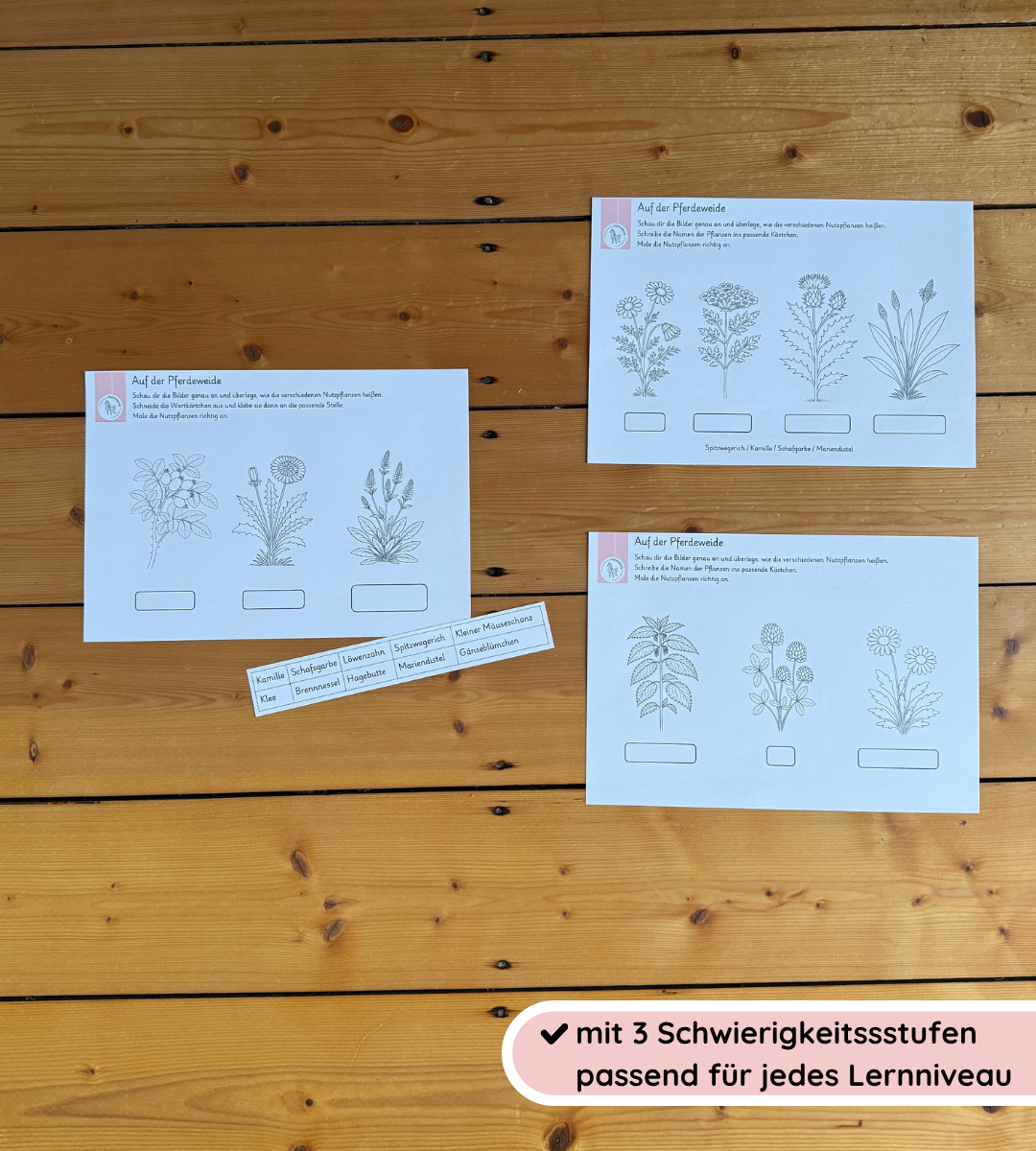 Kindgerechte Arbeitsblätter 1 - Nutz- und Giftpflanzen sicher erkennen und unterscheiden