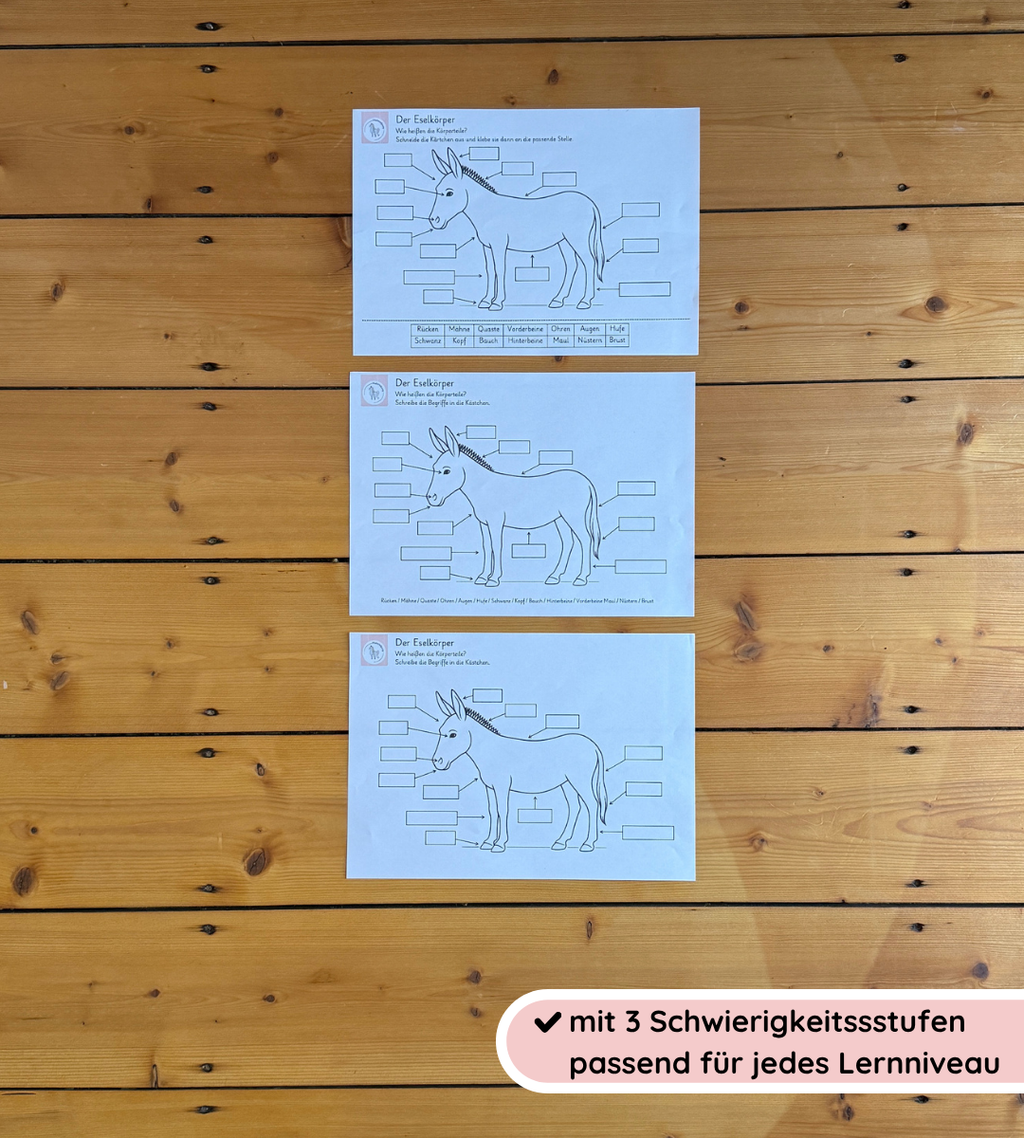 Lernposter & Arbeitsblätter Eselkörper – Körperteile des Esels kindgerecht lernen