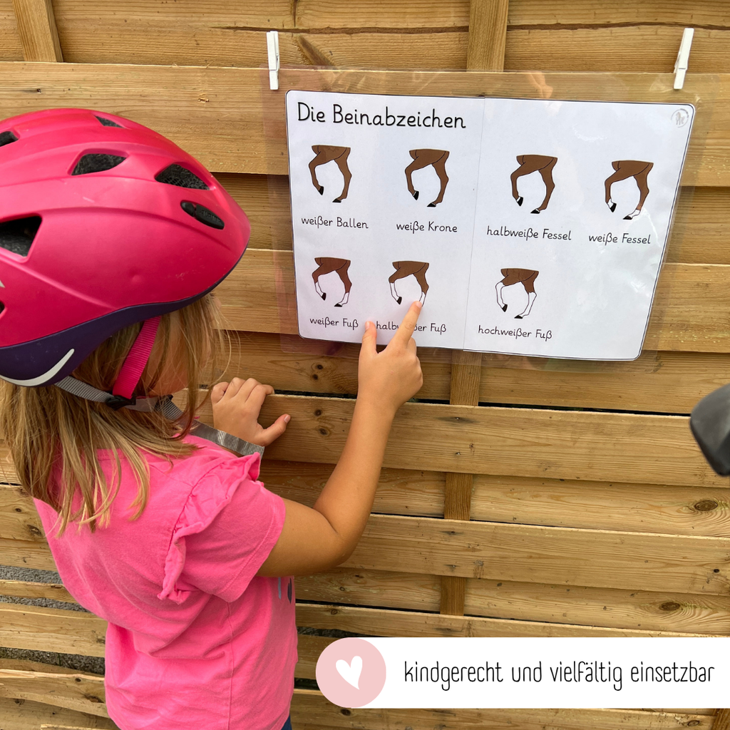 Lehrposter Beinabzeichen
