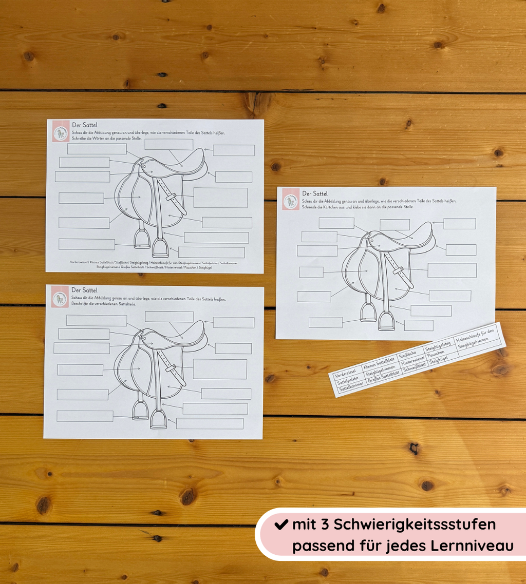 Kindgerechte Arbeitsblätter und Lernposter – Sattel einfach verstehen