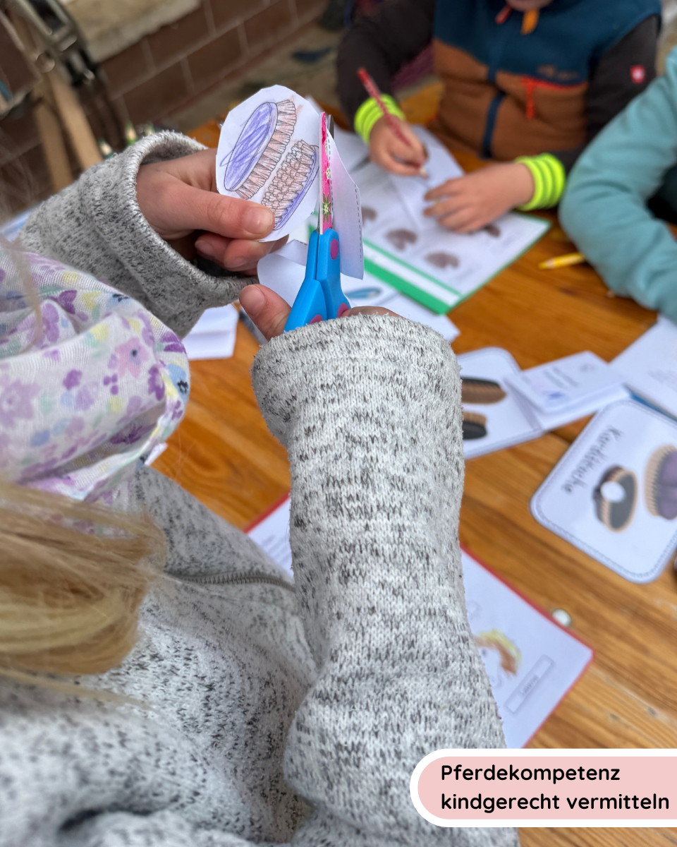 Foldable booklets: Horse care