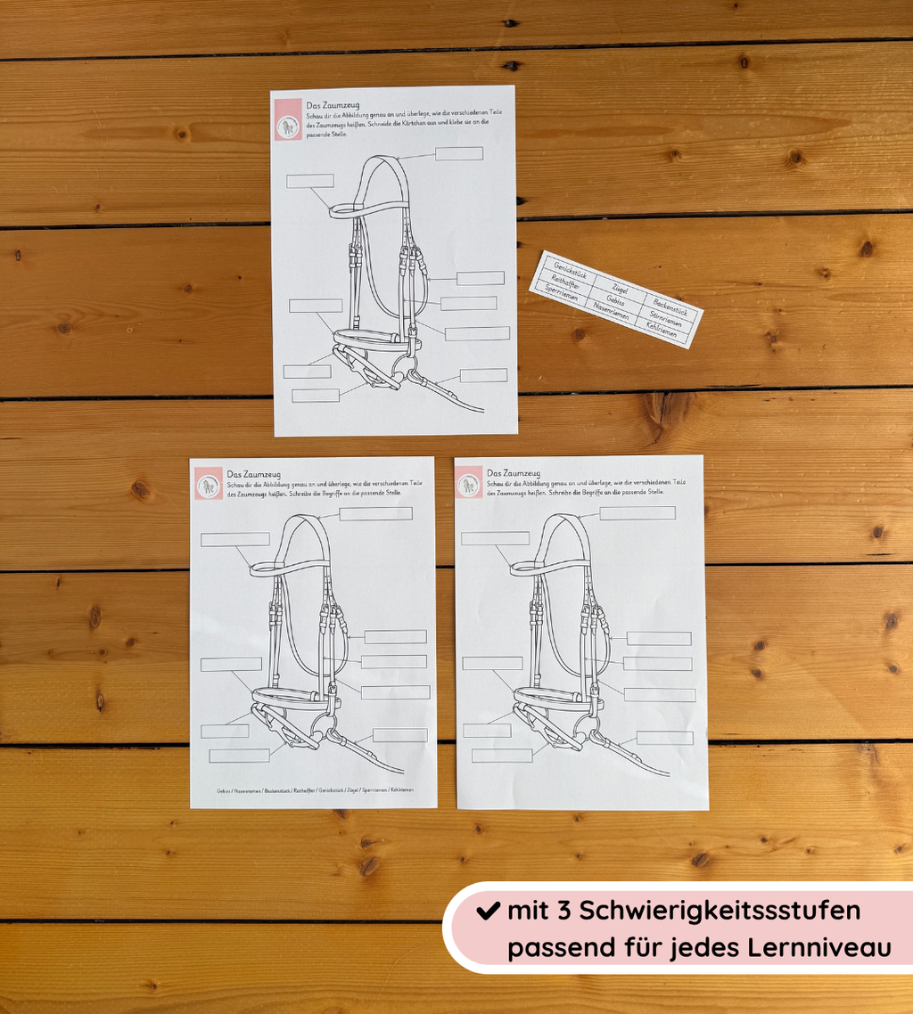 Kindgerechte Arbeitsblätter & Lernposter – Zaumzeug einfach erklärt