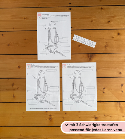 Child-friendly Worksheets & Learning Posters – Bridles Made Easy