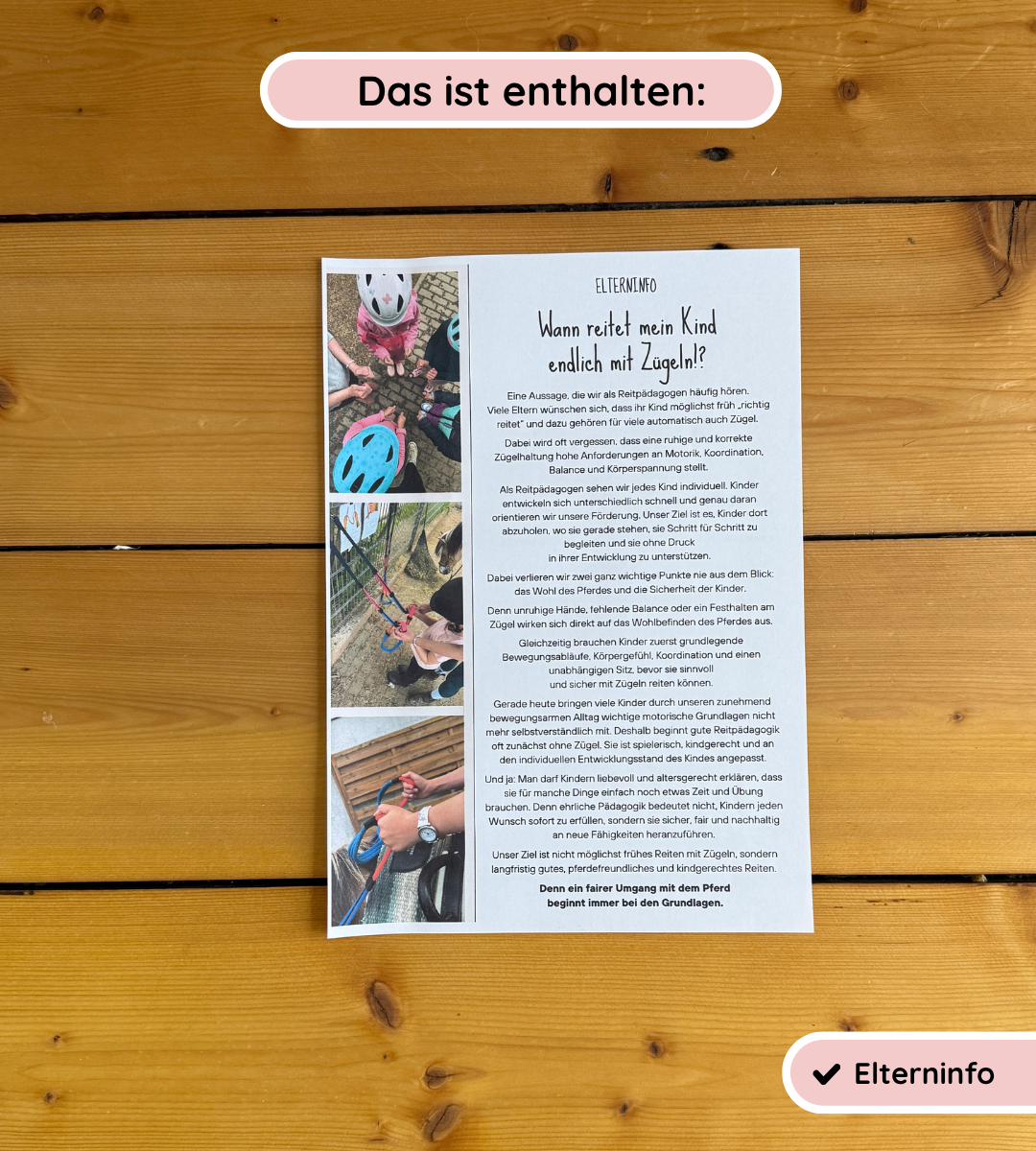 Zügelhaltung kindgerecht erklären und verstehen