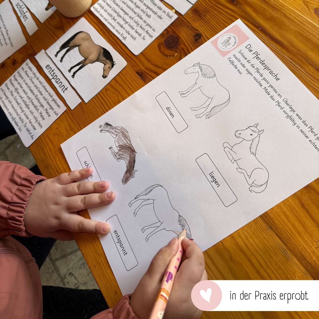 kindgerechte Arbeitsblätter Pferdesprache