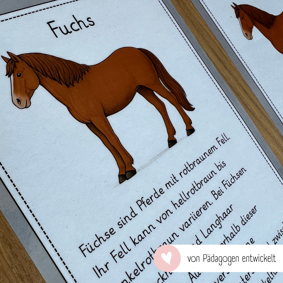 kindgerechte Infotexte Pferdefarben