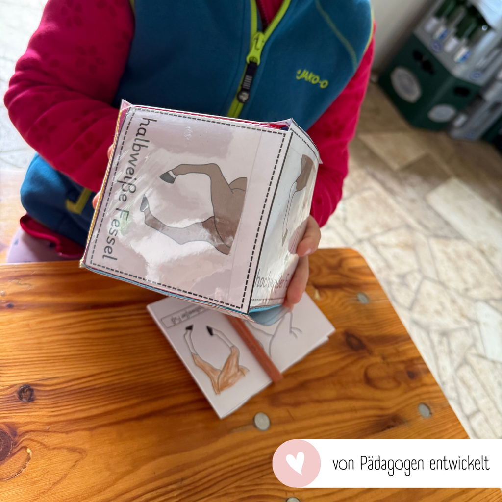 Steckwürfelkarten Beinabzeichen