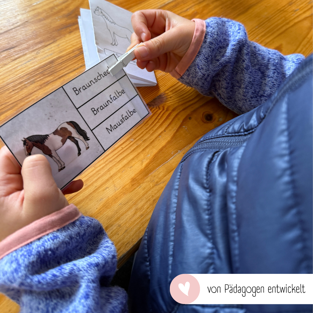 Klammerkarten Pferdefarben