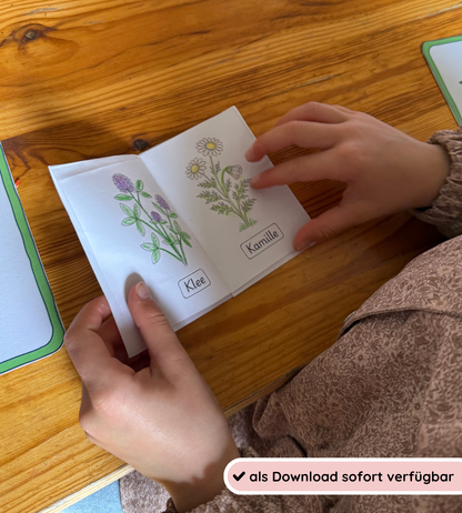 Fold-out pamphlets Useful and Poisonous Plants - Learning about useful and poisonous plants vividly and sustainably