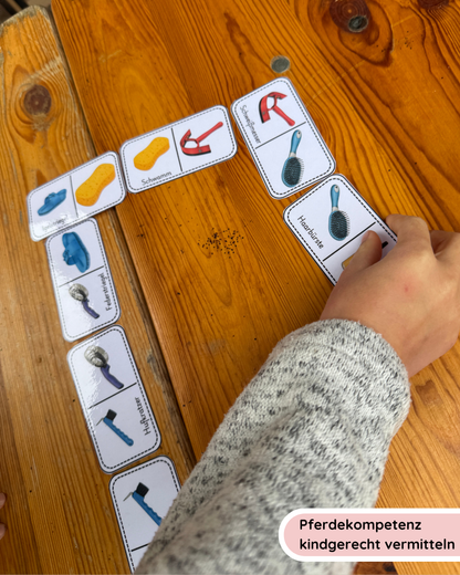 Learning Dominoes: Horse Care