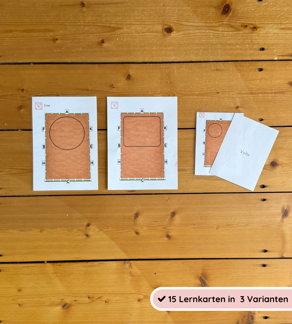 kindgerechtes Lernmaterial - Hufschlagfiguren spielerisch lernen