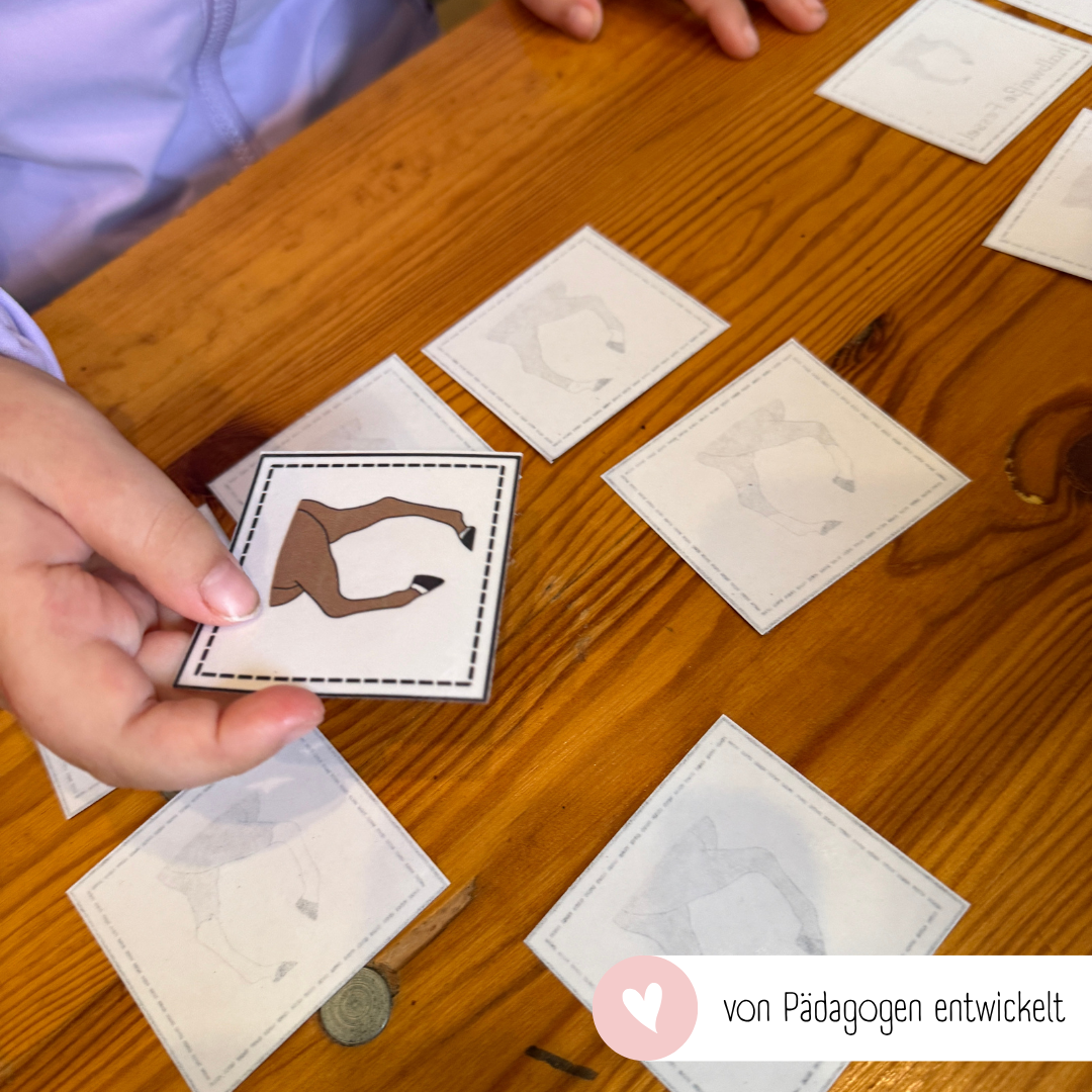 Zuordnungsspiele Beinabzeichen
