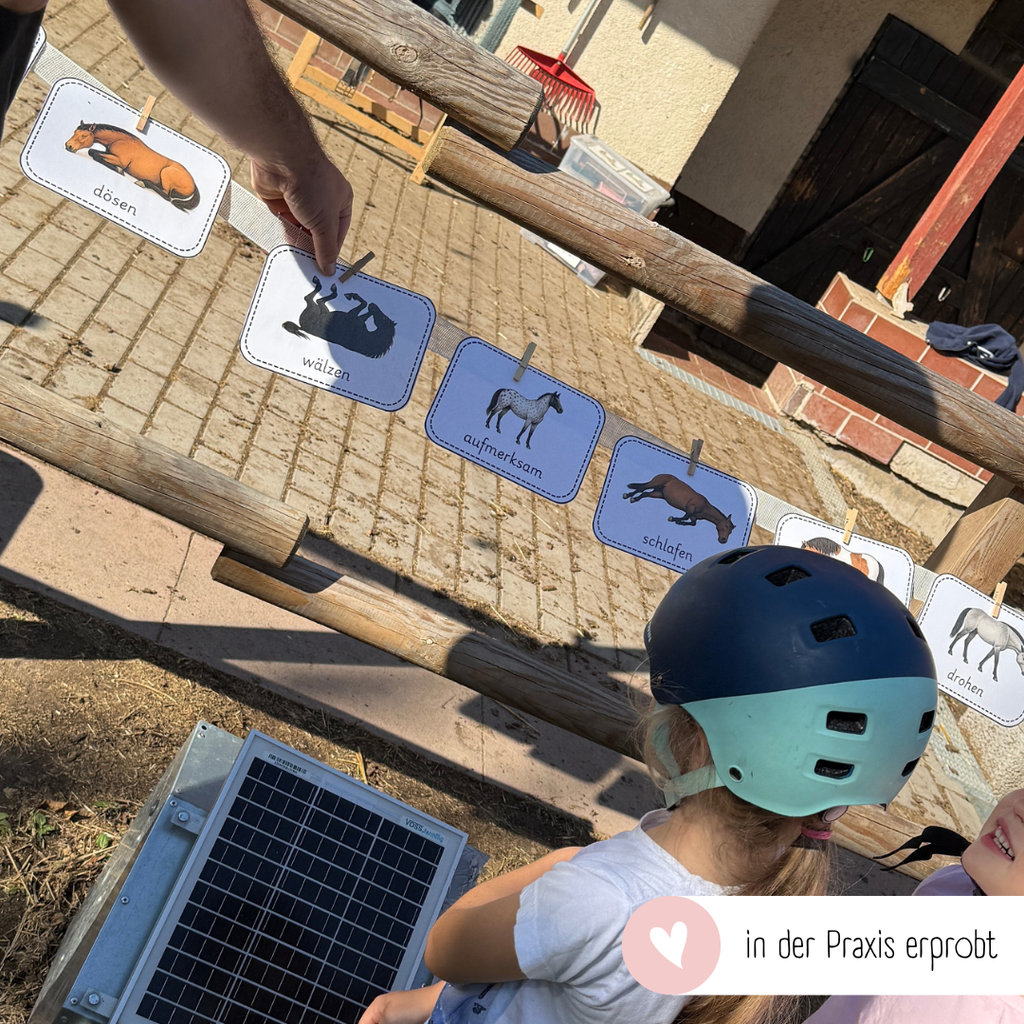 Miniposter Pferdesprache