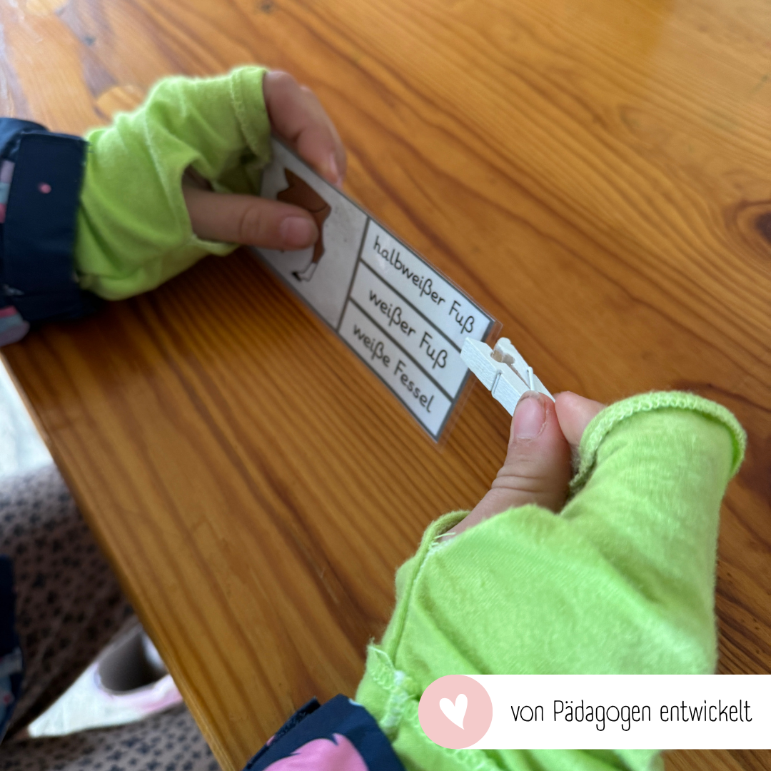 Klammerkarten Beinabzeichen