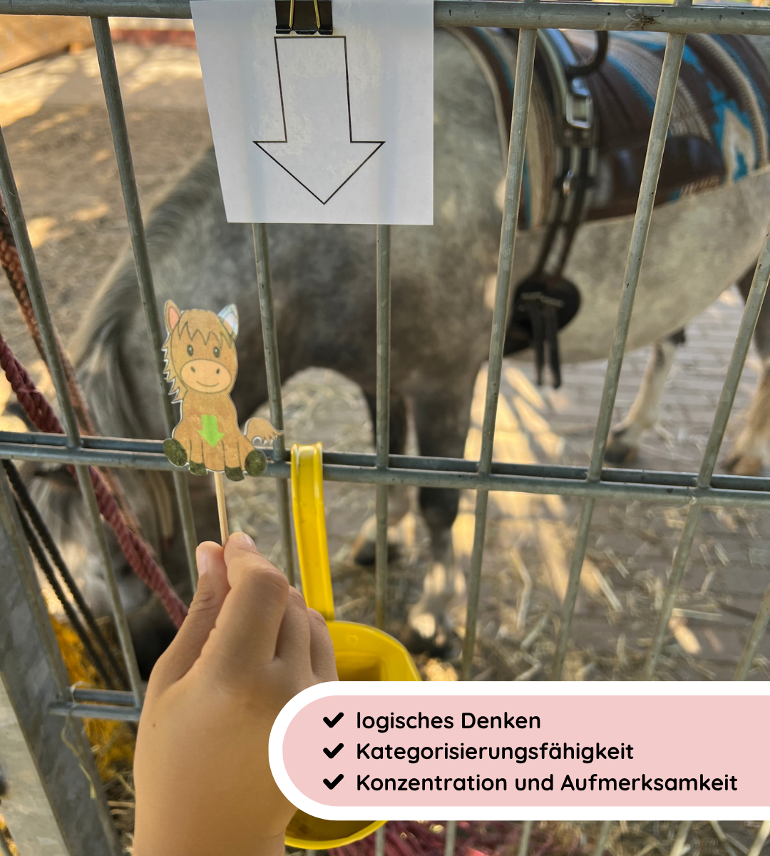 Förderspiel - Formen-Ponys