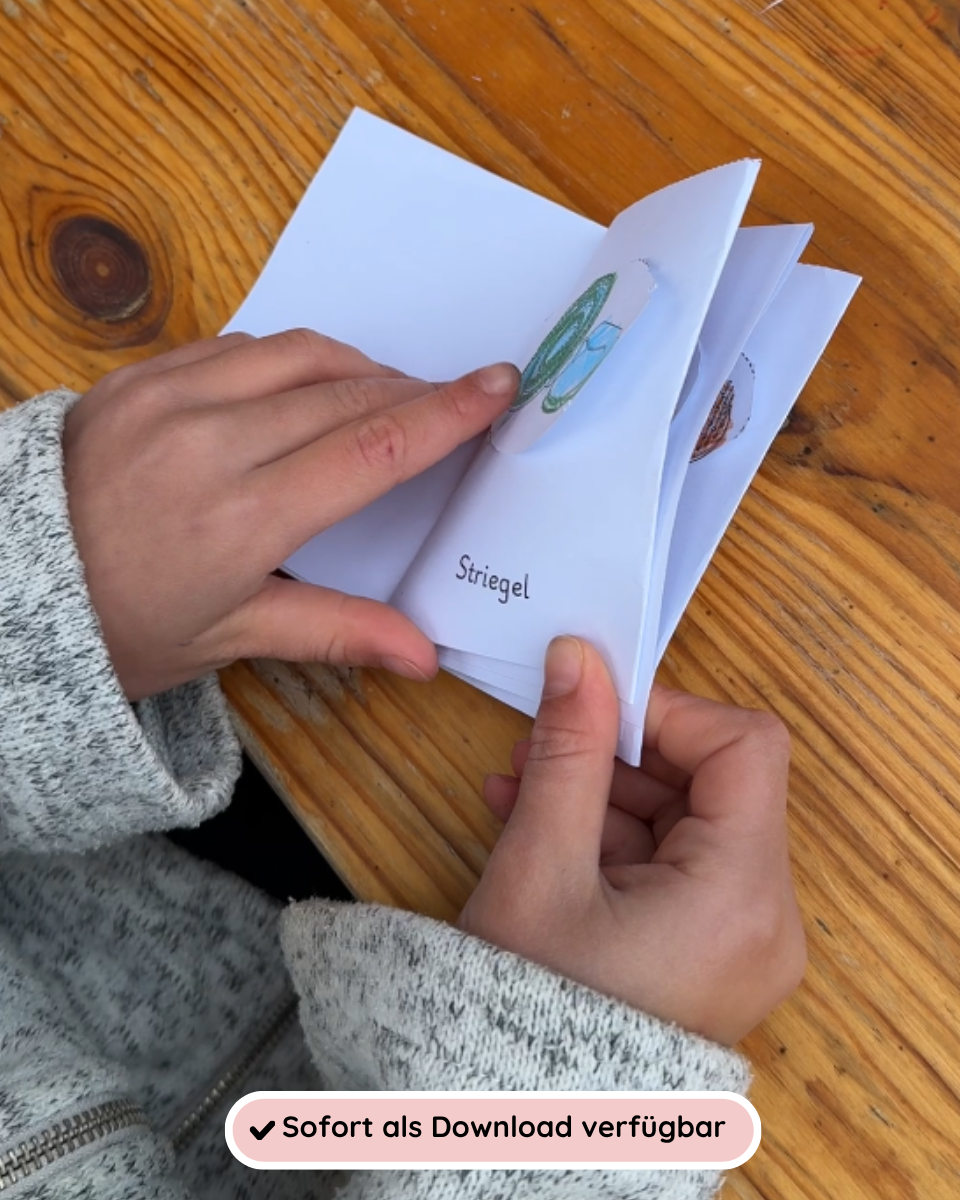 Foldable booklets: Horse care