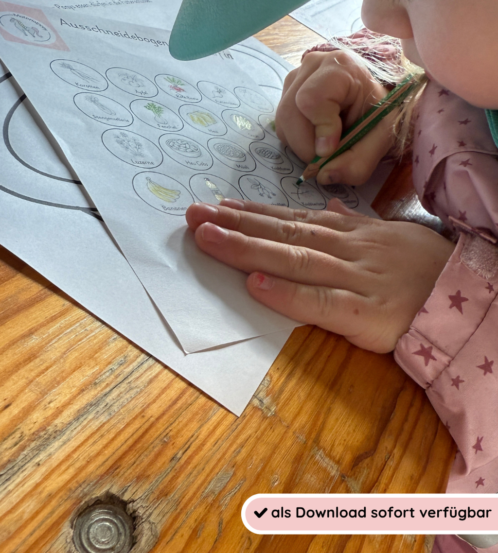 Pferdefütterung spielerisch lernen - Legematerial und Arbeitsblätter
