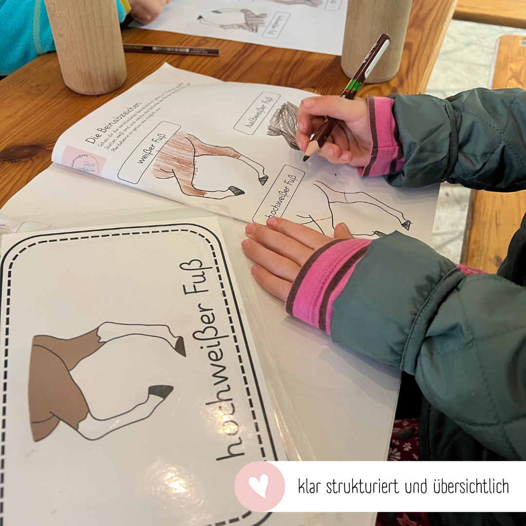Miniposter Beinabzeichen