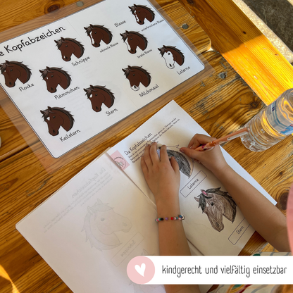 Instructional Poster Head Badges