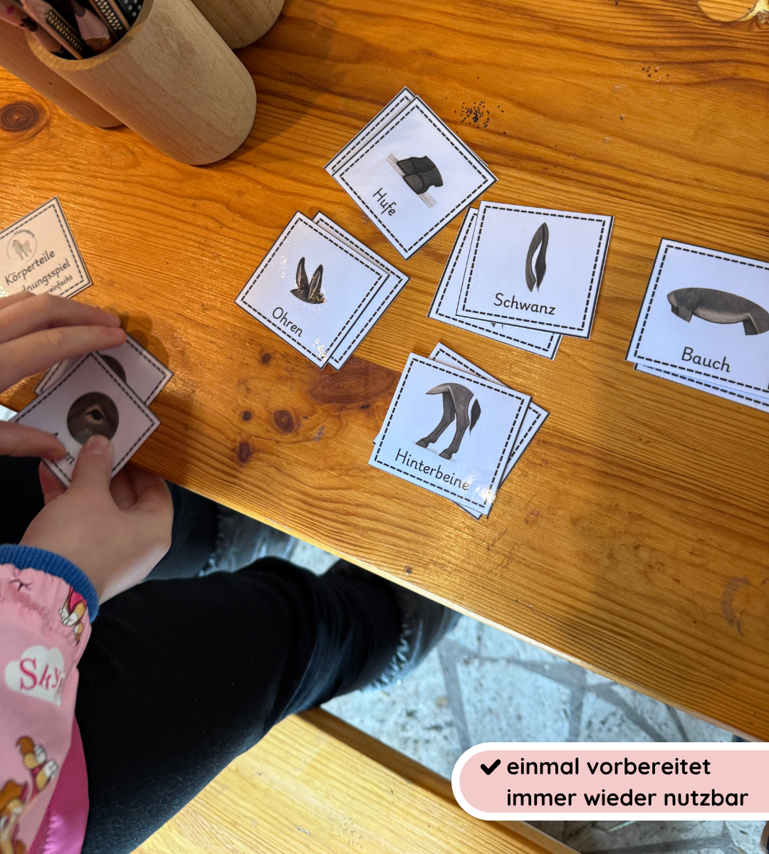 Zuordnungsspiel Eselkörper – Körperteile spielerisch festigen (Kopie)