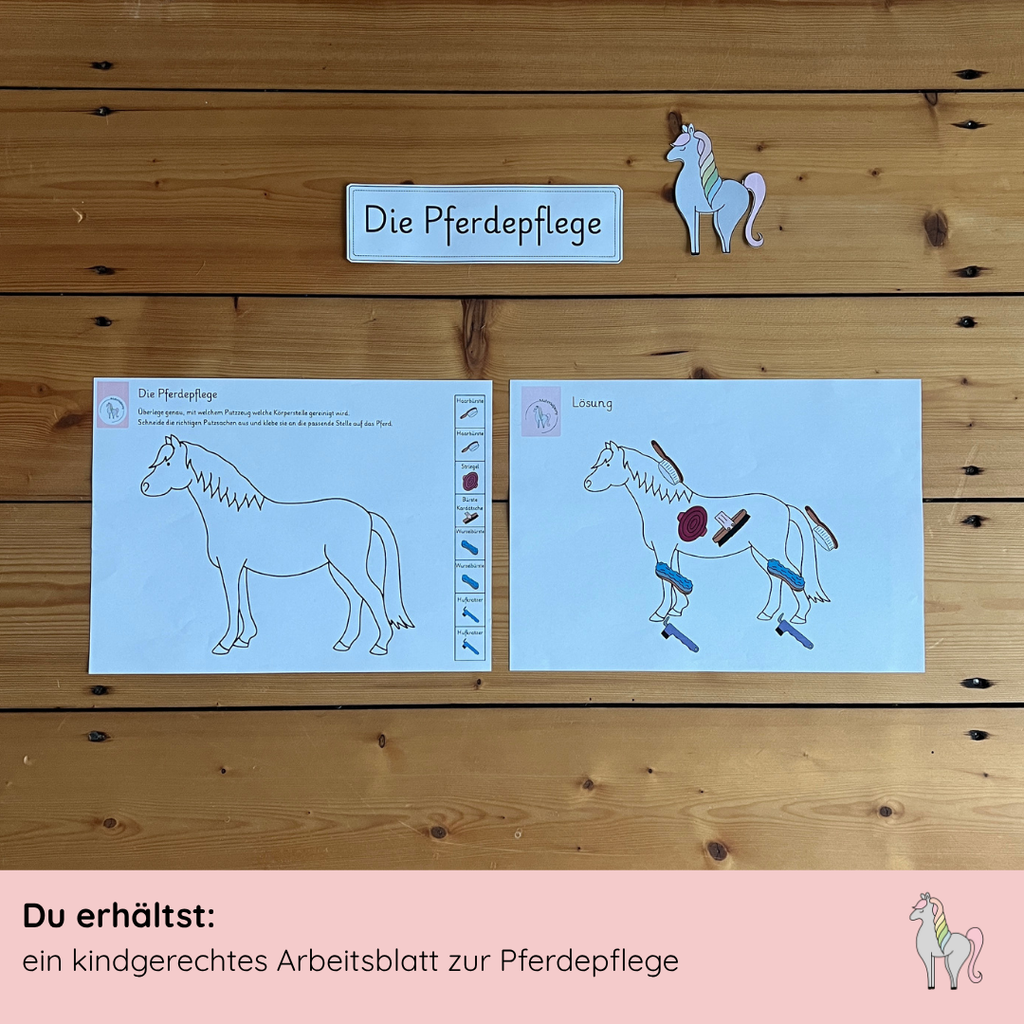Materialpony Starterpaket
