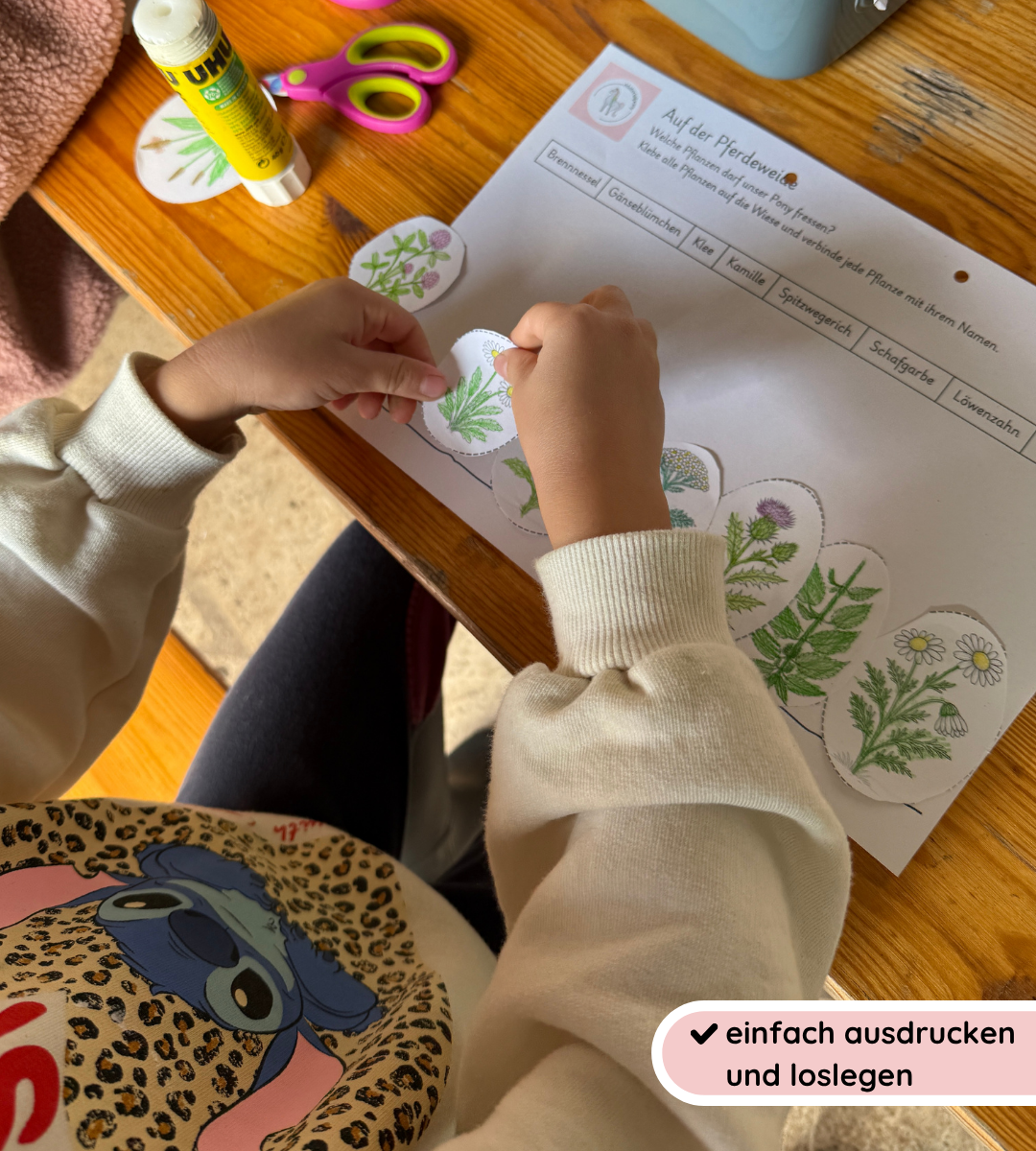 Kindgerechte Arbeitsblätter 2 - Nutz- und Giftpflanzen sicher erkennen und unterscheiden (Kopie)